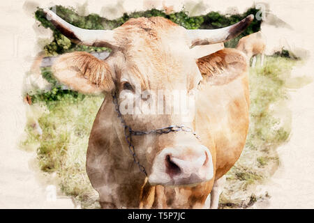 Mucca con grandi corna in piedi sul terreno coltivato in acquerelli Foto Stock