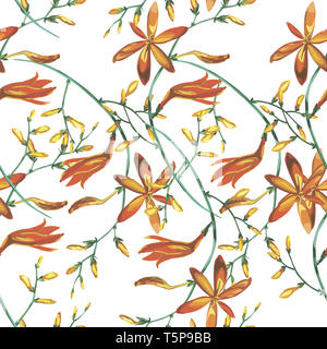 Eleganza seamless pattern in stile vintage con fiori Crocosmia. Foto Stock