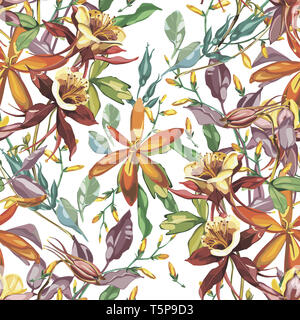Eleganza seamless pattern in stile vintage con fiori Crocosmia. Foto Stock