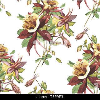Eleganza seamless pattern in stile vintage con fiori Crocosmia. Foto Stock