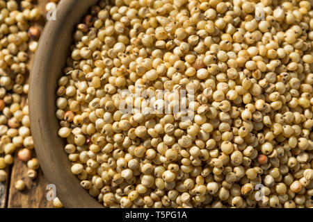 Materie organiche di grano di sorgo in una ciotola Foto Stock