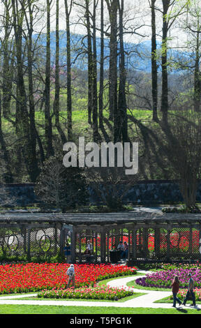 Montagna e alberi in background, turisti sedersi nell'uva arbor e ispezionare i fiori all'Bitlmore Estate in Asheville, NC, Stati Uniti d'America Foto Stock