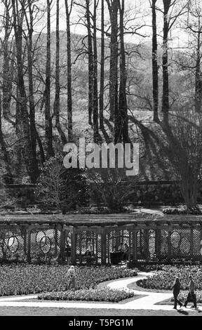 Montagna e alberi in background, turisti sedersi nell'uva arbor e ispezionare i fiori all'Bitlmore Estate in Asheville, NC, Stati Uniti d'America Foto Stock