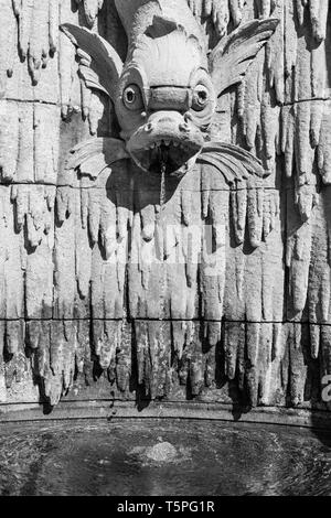 Un gargoyle di drago-pesce si innaffia in una piscina su un muro lungo la spianata presso la Biltmore Estate ad Asheville, NC, USA Foto Stock