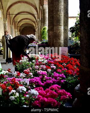 (Duilio Piaggesi/fotogramma, Milano - 2019-04-26) p.s. la foto e' utilizzabile nel rispetto del contesto in cui e' stata scattata, e senza intento diffamatorio del decoro delle persone rappresentate Foto Stock