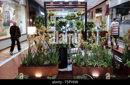 Costa Mesa, Stati Uniti d'America. 26 apr, 2019. La gente a piedi passato la California del Sud Spring Garden Show in South Coast Plaza in Costa Mesa, Stati Uniti, 25 aprile 2019. Credito: Li Ying/Xinhua/Alamy Live News Foto Stock