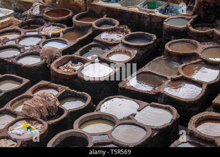 FEZ, in Marocco - 1 Novembre 2012: pelle morire in una conceria tradizionale nella città di Fez, Marocco Foto Stock