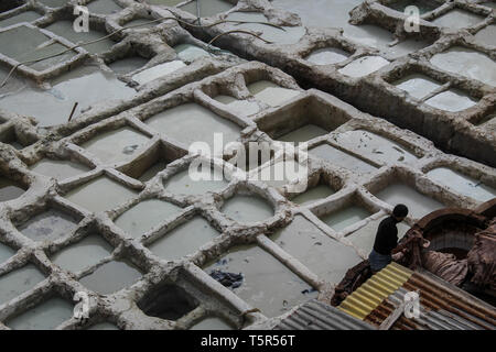 FEZ, in Marocco - 1 Novembre 2012: pelle morire in una conceria tradizionale nella città di Fez, Marocco Foto Stock