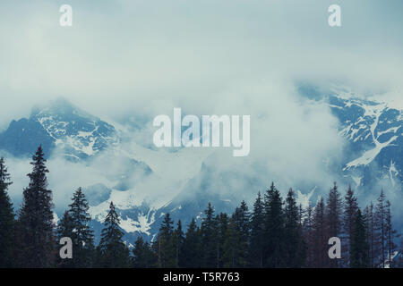 Foreste di montagna con nuvole basse e nebbia tra gli alberi e le vette al tramonto dai toni vintage Foto Stock