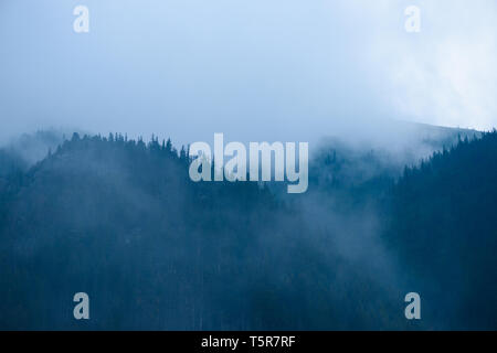 Alte foreste di montagna con nuvole basse e nebbia tra gli alberi e le vette al tramonto Foto Stock
