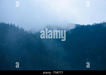 Alte foreste di montagna con nuvole basse e nebbia tra gli alberi e le vette al tramonto del tempo Foto Stock