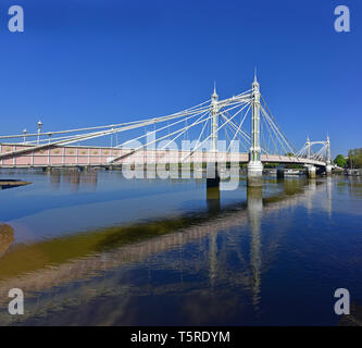 Albert Bridge da Battersea Park in primavera. Foto Stock