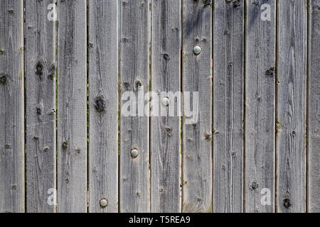 Tavole di legno dello sfondo. Vecchio usurato in legno naturale, il colore grigio, strisce verticali, pieno di sfondo texture Foto Stock
