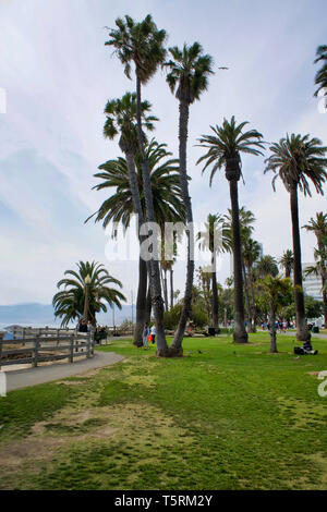 LOS ANGELES, Stati Uniti d'America - 21 Maggio 2018: Le Palme e il molo di Santa Monica Beach in LA. Le palme e il molo di Santa Monica Beach a Los Angeles Foto Stock