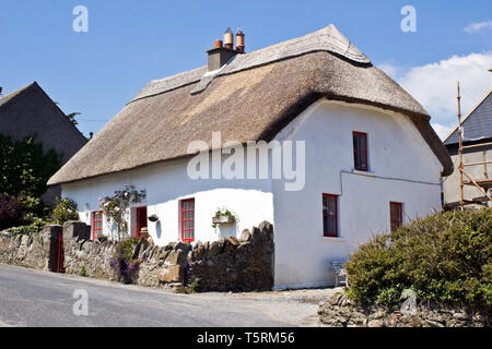 Raffinato esempio di una vecchia casa di paglia nel villaggio di Annestown nella Contea di Waterford, Irlanda. Foto Stock