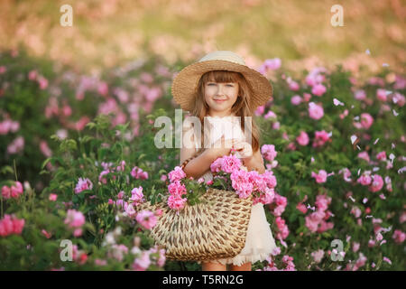 Una bambina nel giardino di una rosa tea. Foto Stock