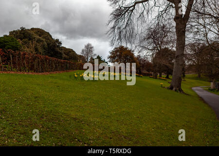 Dublino, Irlanda - Marzo 2019. Famoso Phoenix Park di Dublino Foto Stock