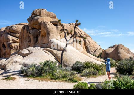 Giovane turista nel Parco Nazionale di Joshua Tree scattando una foto telefonica di un albero di Joshua con formazione rocciosa gigante vicino Jumbo Rocks. Foto Stock