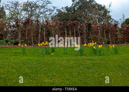 Dublino, Irlanda - Marzo 2019. Famoso Phoenix Park di Dublino Foto Stock