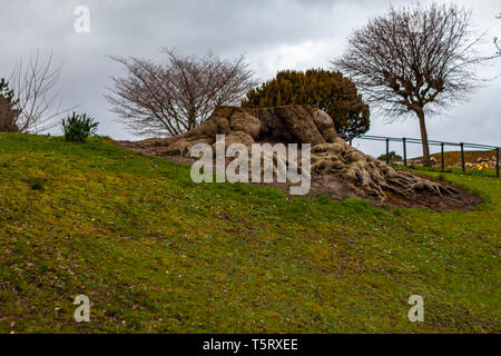 Dublino, Irlanda - Marzo 2019. Famoso Phoenix Park di Dublino Foto Stock