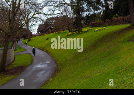 Dublino, Irlanda - Marzo 2019. Famoso Phoenix Park di Dublino Foto Stock