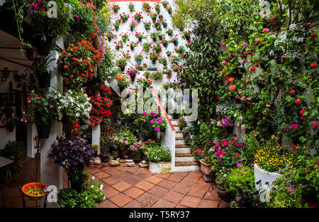 Cordovan tradizionale cortile interno Cordoba, Spagna aprile, 24, 2019 Foto Stock