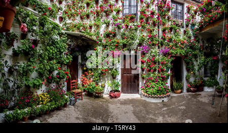 Cordovan tradizionale cortile interno Cordoba, Spagna aprile, 24, 2019 Foto Stock