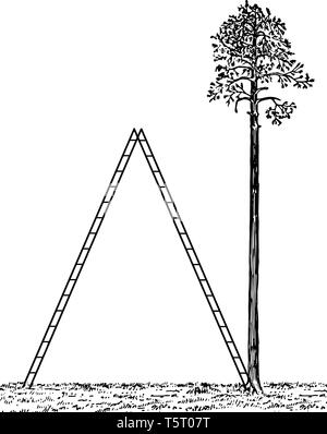 Un'immagine che mostra il gigante scala. Scala forma un triangolo isoscele con il terreno, vintage disegno della linea di incisione o illustrazione. Illustrazione Vettoriale