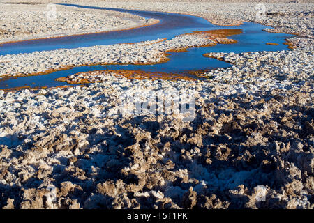 Crosta di sale in riva al Laguna Chaxa nel mezzo del Salar de Atacama (Atacama Salt Lake), Soncor, il deserto di Atacama, Regione di Antofagasta, Cile, Foto Stock