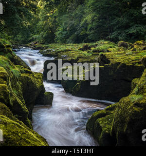 L 'hotel Astrid è una sezione ristretta del Fiume Wharfe vicino a Bolton Abbey nello Yorkshire. Essa è denominata come esso è considerato solo un singolo stride attraverso. Foto Stock