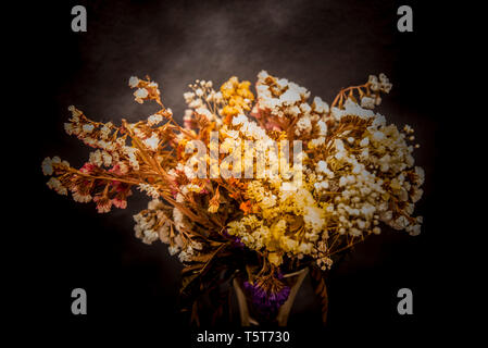 Fiori secchi dimenticato nel soppalco su sfondo scuro Foto Stock