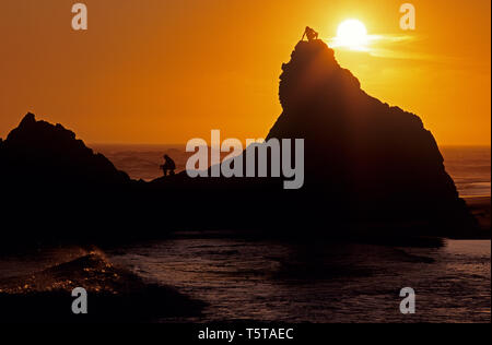 Southern Oregon costa con stagliano formazioni rocciose e fisherman seduti sulle rocce tramonto spettacolare Harris Beach State Park Oregon stato USA Foto Stock