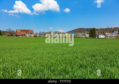 Vista sulla campagna in Svizzera in primavera. La foto è stata scattata a metà aprile nei pressi del villaggio di Hedingen nel cantone svizzero di Zurigo. Foto Stock