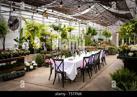 Tabella di parte della configurazione in serra veranda Foto Stock