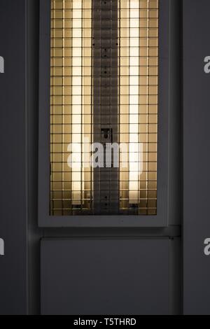 Lampade al neon verticali su fondo freddo Foto Stock