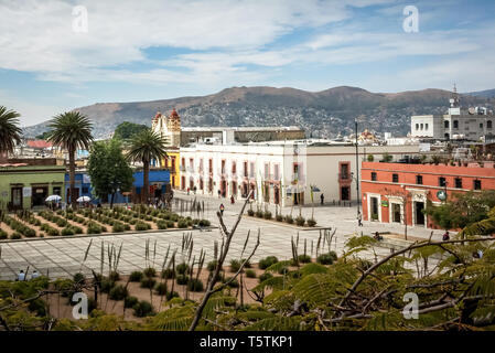 Giardini di Cactus in un quadrato di Oaxaca de Juárez, Oaxaca, Messico Foto Stock