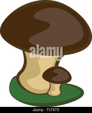 Carino mamma e bambino cartoon di funghi in piedi su un territorio verde con uno scuro-marrone cappello e una di colore marrone pallido vettore dello stelo il colore di disegno o illustrazione Illustrazione Vettoriale