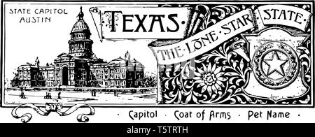 Lo stato banner per Texas Lone Star State questo banner è stato casa sul lato sinistro è la stella di cinque punti circondata da rami di albero su ri Illustrazione Vettoriale