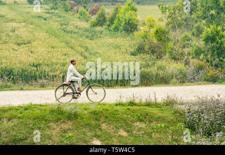 Un giovane uomo di pedalare lentamente lungo una traccia approssimativa attraverso i campi in India del Nord Foto Stock