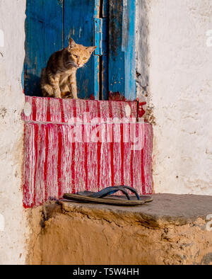 Assonnato cat e flip-flop sul tradizionalmente porte dipinte di un Borgo Casa al Supi nella valle Saryu dell India settentrionale Foto Stock