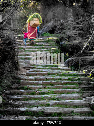 Una donna a piedi fino a casa dei gradini ripidi con un bambino e un cesto di foraggi nel villaggio di Supi nell'Uttarakhand Himalaya India del nord Foto Stock