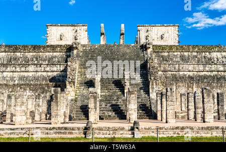 Tempio dei Guerrieri in Chichen Itza, Messico Foto Stock