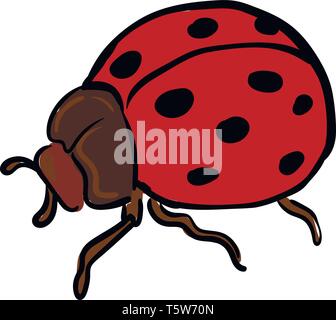 Una coccinella con un corpo marrone due antenne sei zampe e ali di colore rosso nero ha pois vettore di disegno a colori o illustrazione Illustrazione Vettoriale