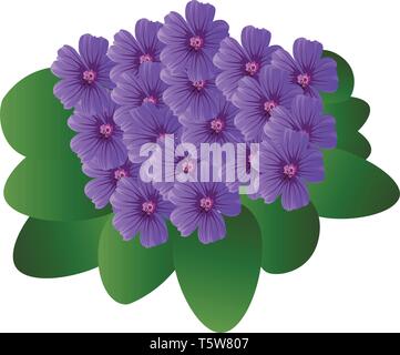 Illustrazione Vettoriale di porpora viola fiori con foglie di colore verde su sfondo bianco. Illustrazione Vettoriale