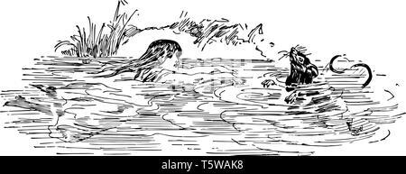 Alice nel Paese delle Meraviglie questa scena mostra una femmina di nuotare in acqua e andando verso il coniglio vintage disegno della linea di incisione o illustrazione Illustrazione Vettoriale
