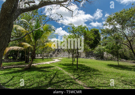 La città maya di Muyil, situato in Quintana Roo, Messico Foto Stock