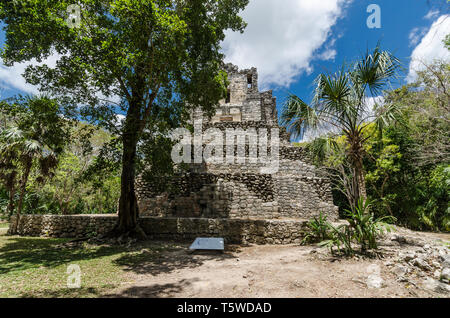 La città maya di Muyil, situato in Quintana Roo, Messico Foto Stock