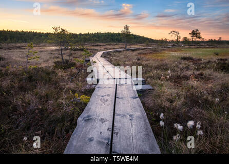 Vista panoramica dalla palude con percorso di legno in autunno la mattina in Torronsuo National Park, Finlandia Foto Stock