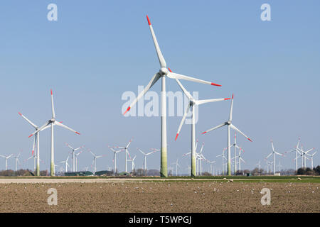 Le turbine eoliche in Frisia settentrionale, Germania Foto Stock