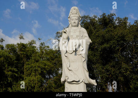 Statua di Kwan Yin (Guan Yin), dea della misericordia, Puh Toh Tze (Poh Toh Tse, Pu Tuo Si) tempio buddista, Kota Kinabalu, Sabah (Borneo), Malaysia Foto Stock